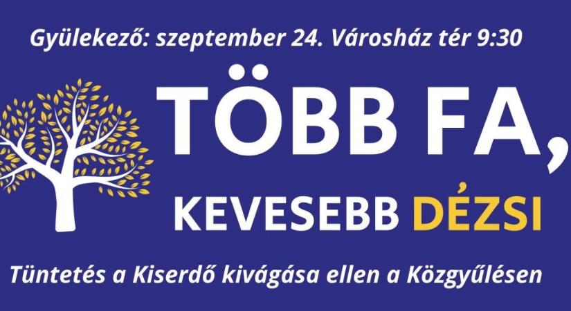 Több fa, kevesebb Dézsi! – Kiserdő melleti tüntetést hirdetett a szeptemberi közgyűlésre a TSZV