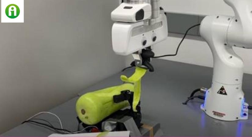 A jövő séfjei már itt vannak: az új robot zöldséget pucolni is tud VIDEÓ