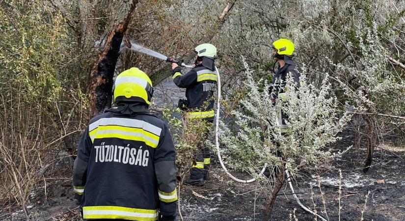 Leégett egy hatalmas erdős terület Budapesten  videó