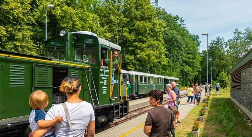 Fekete István állataihoz visz a Zsuzsi Erdei Vasút