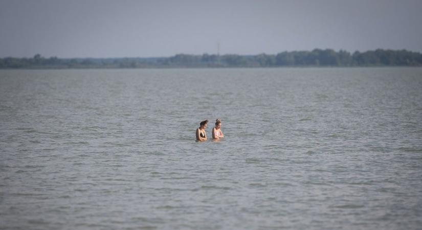 Valami megcsípte a Balatonban a férfit, strandolás közben került élet-halál közé