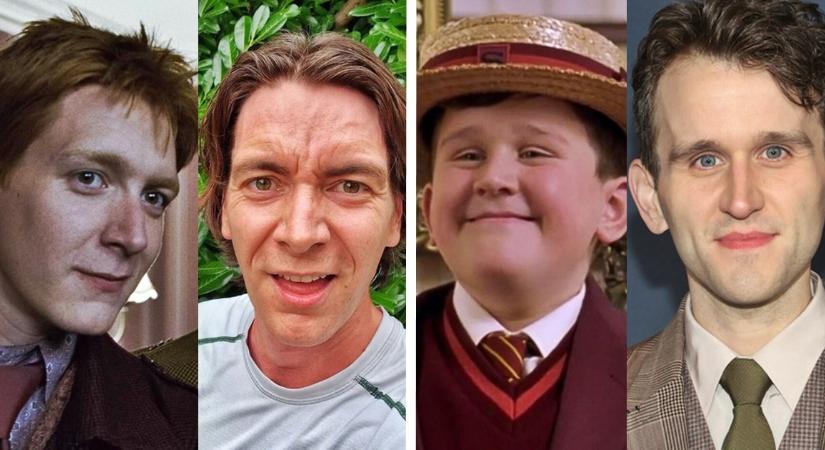 16 színész a Harry Potter filmekből, akikre alig ismersz rá most!