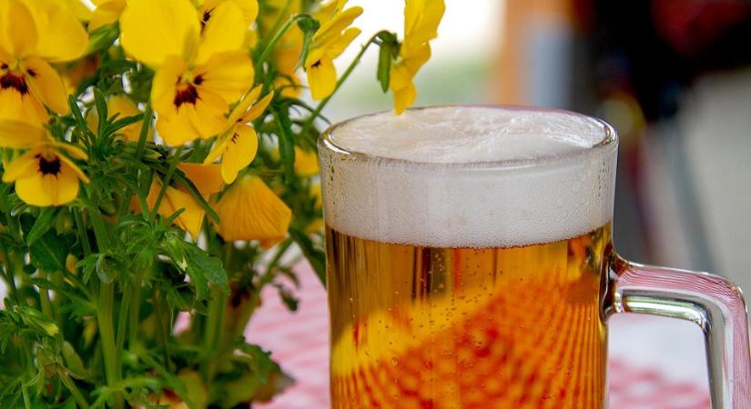 34,3 milliárd liter sör készült 2023-ban az Európai Unióban