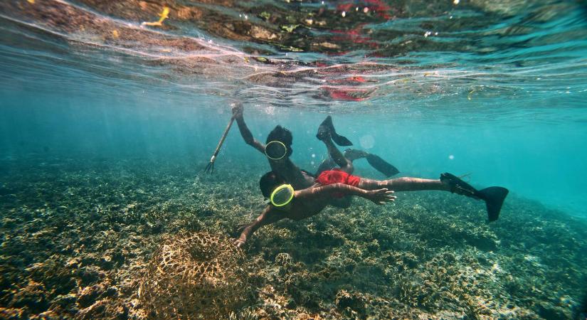 A BAJAU – TÖRZS: AZ OXIGÉNBÚVÁROK KÜLÖNLEGES