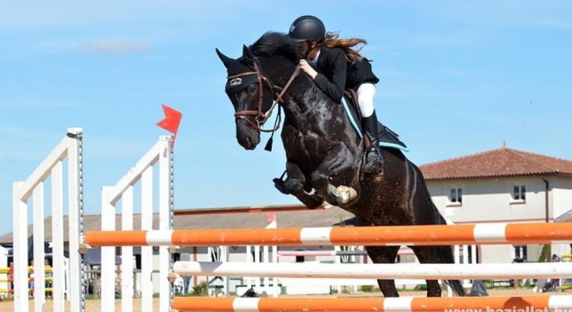 Milyen lovas sportok szerepelnek az olimpián?