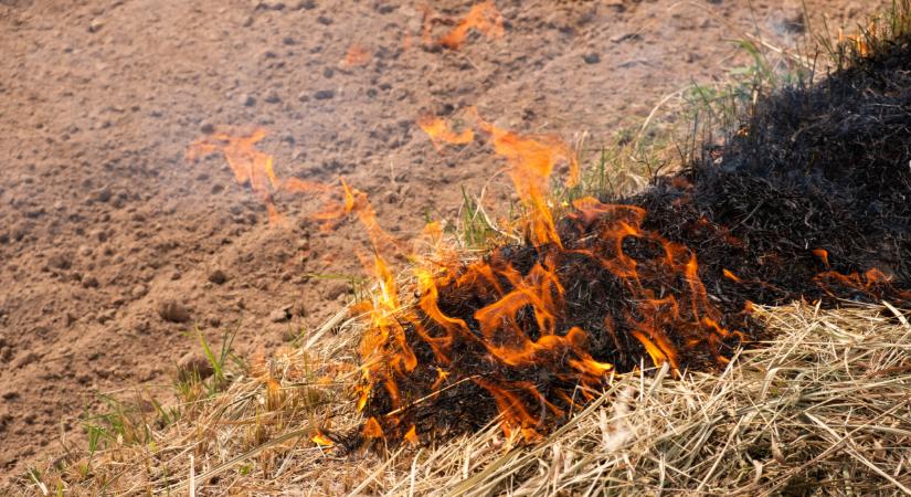 Súlyos bírság jár ezért a magyar telkeken: sokan nem tudják, de tilos