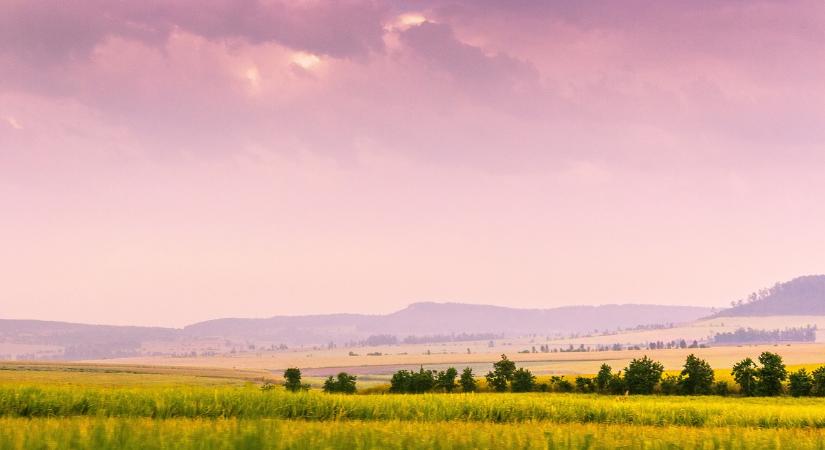 MBH: fordulat előtt áll a magyar agrárium