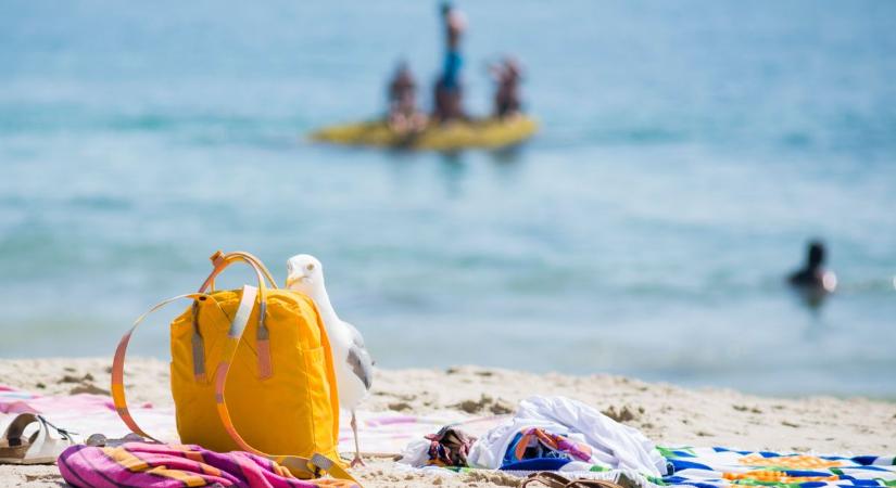 Strandtolvajok előtt járva egy lépéssel: nyári bűnmegelőzési tippek rendőröktől