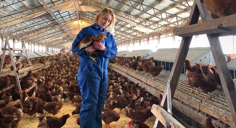 Közepesen alakult a július az agrárcégeknek a tőzsdén