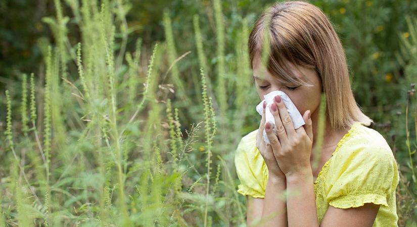 Iszonyú nehéz hetek jönnek több millió magyar számára