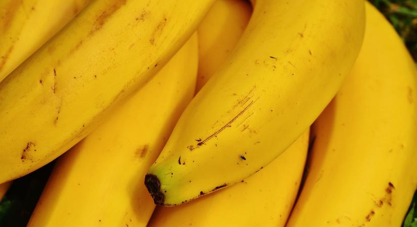 Egymillió euró értékű kokaint találtak banánok közé rejtve