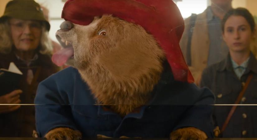 Új előzetes érkezett a Paddington 3-hoz, amelyben mindenki kedvenc mackója egzotikus és veszélyes kalandra indul a zöld pokolba