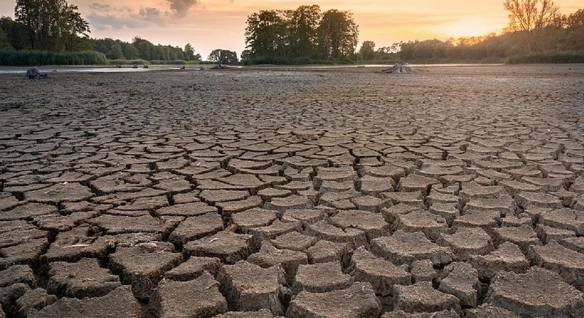 Ami a strandolóknak öröm, tragédia a mezőgazdaságnak