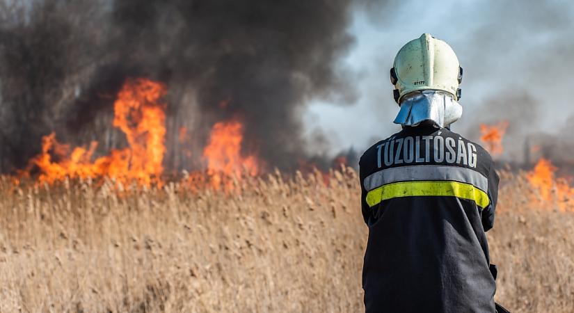 Baleset, lehasadt fák és tűzesetek adtak munkát a katasztrófavédelemnek