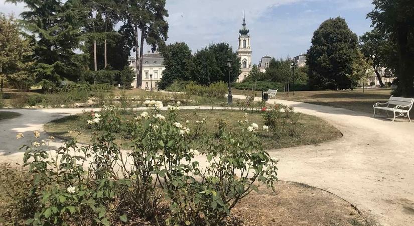 Kornyadozik a növényzet a hírneves balatoni kastélyparkban, műszaki hiba okozta a szárazságot