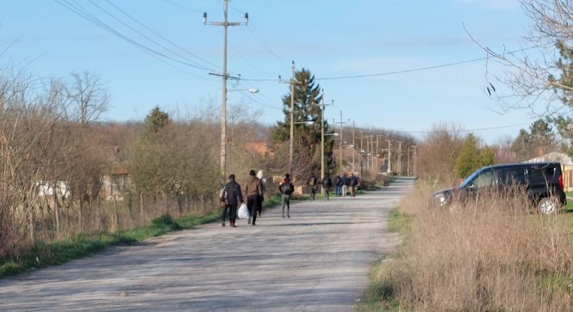 Bármikor megjelenhetnek a migráns hordák a magyar határnál