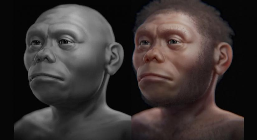 Új fosszíliák alapján még kisebb lehetett a legkisebb emberi faj, a Homo floresiensis