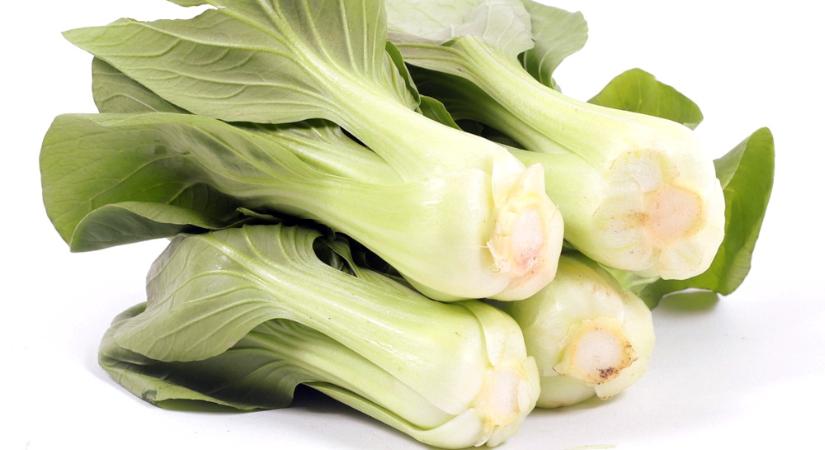 3 tipp a pak choi termesztéséhez