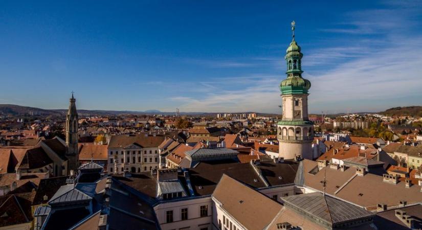 - Tudhatták a helyiek, hogy az összes fát kivágja egy soproni utcában a fideszes önkormányzat, mégis kiakadtak