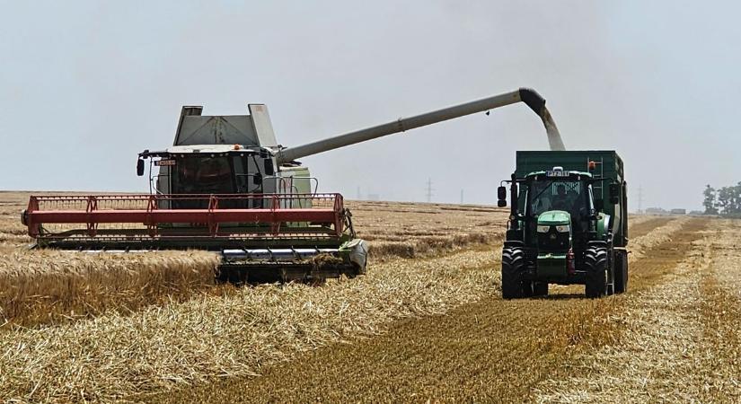 Jól alakult az idei termésátlag a Pálhalmai Agrospeciál Kft.-nél