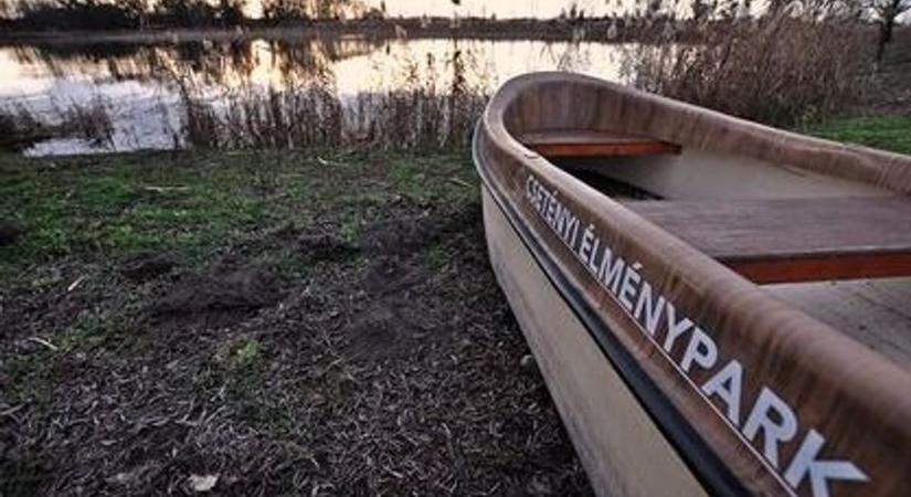 Orvhorgászok veszélyeztetik a Csetényi-park tavának élővilágát – videóval