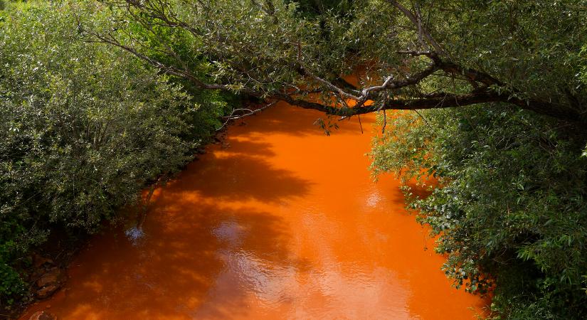 Tilos a Sajóból kifogott halakat elfogyasztani, arzént tartalmaznak