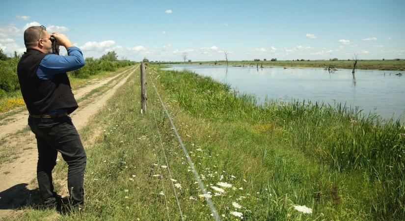 Hortobágyon látták a világ legidősebb fekete gólyáját