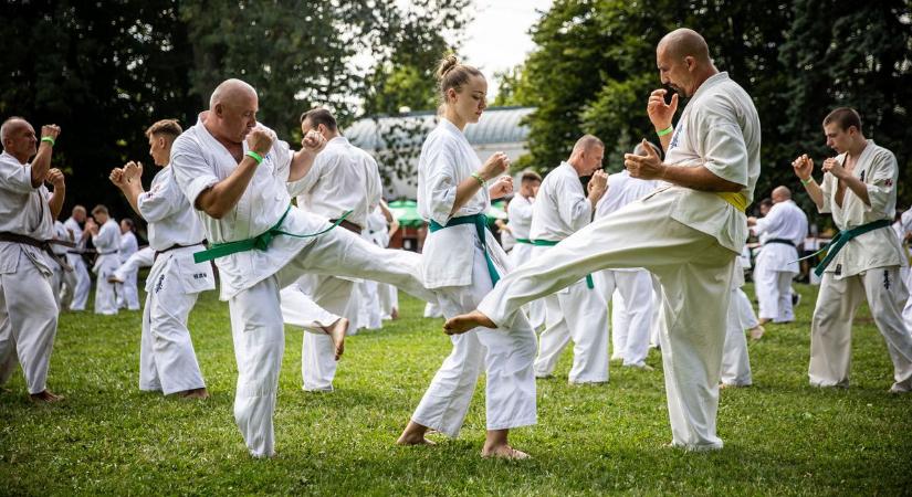 Országos Kyokushin Karate Edzőtábor tagjai edzettek a Gyulai Várfürdőben - galériával, videóval