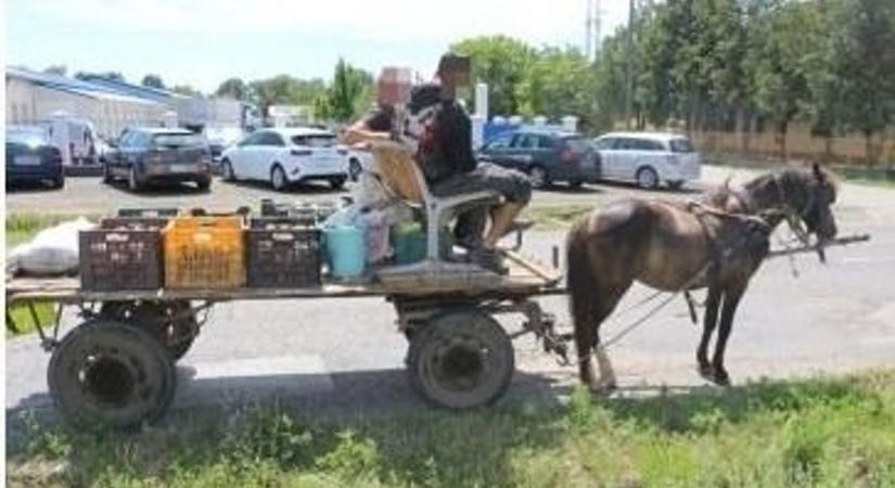 Lovaskocsival jártak lopni Kecskeméten