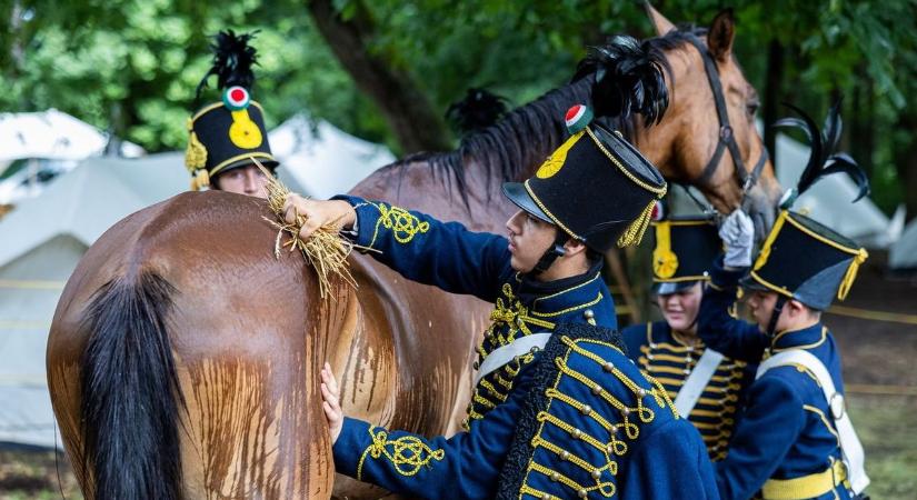 Elfoglalták a kishuszárok a Kossuth erdőt Fonyódon