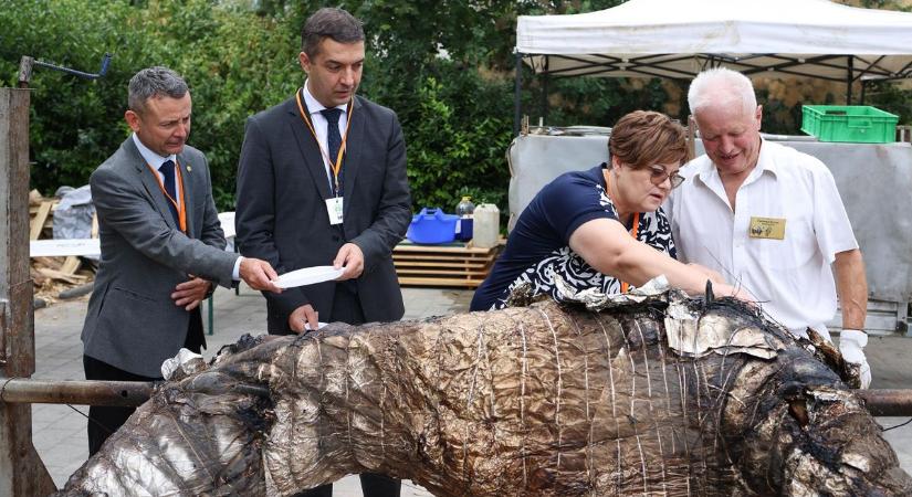 Elkezdődött Bonyhád legnagyobb rendezvénye