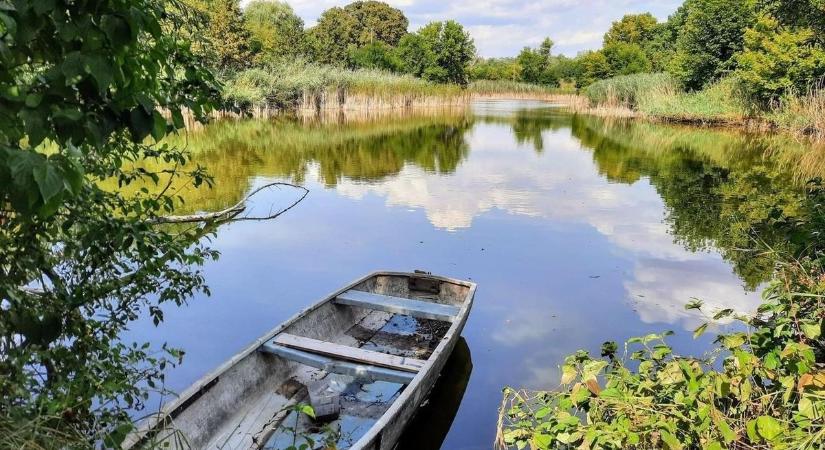 Veszélyben az Ős-Sárvíz: apadó vízszint és aszályos területek