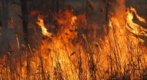 Marosleléhez riasztották a vásárhelyi tűzoltókat