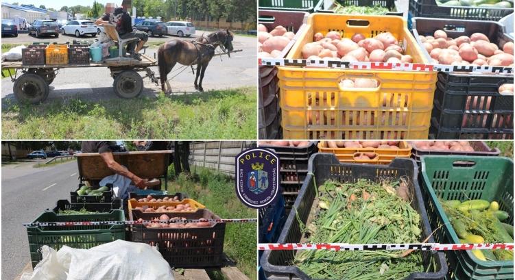 Autentikus módszere miatt fogták el a lovaskocsis betörőt