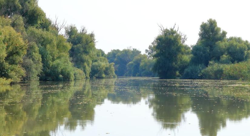 Mutatjuk a Duna és a Tisza aktuális vízszintjét Bács-Kiskunnál