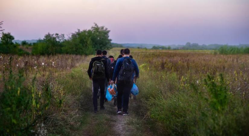 - Összesen 2544 embert fogtak el embercsempészet miatt Magyarországon, jelenleg 254-en vannak börtönben