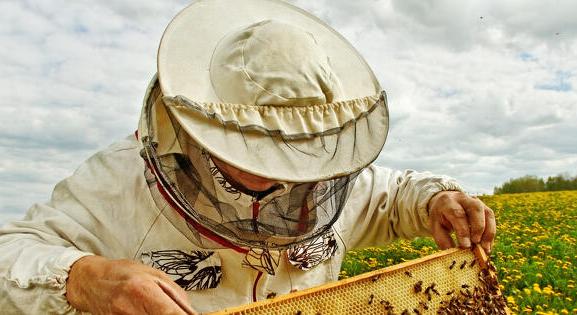 Ukrajna átlépett egy határt, figyelmeztet az agrártárca