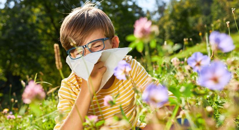 Itt a parlagfűszezon: így védekezhetünk az allergiás tünetek ellen