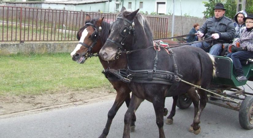 Lóerők találkozója