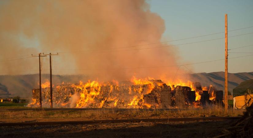 Egy elhagyatott tiszabői telken kapott lángra a gaz