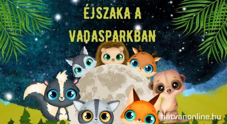 Éjszaka a hatvani vadasparkban 