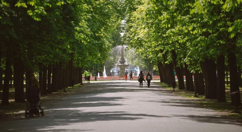 Hamarosan permetezik a vadgesztenyéket Egerben