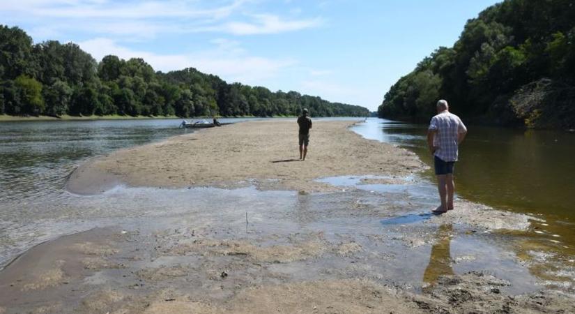 Előbukkant a sziget Cibakházán, új fotók készültek a szolnoki strandról – ezek voltak az elmúlt hét legjei