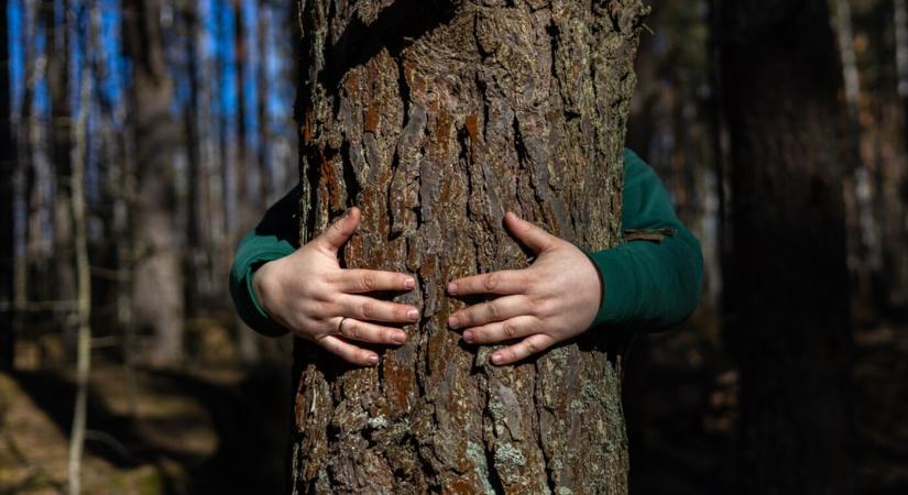 Pedofil rendőrt vert félholtra cseh férfiak egy csoportja