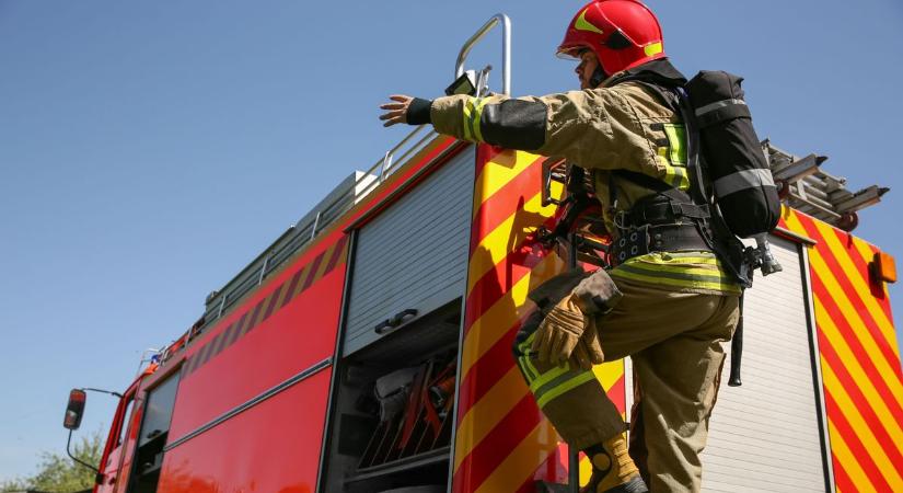 A nádas és az aljnövényzet égett Sásd és Meződ között