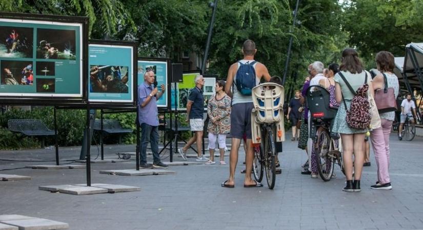 A legjobb megörökített pillanatokat láthatjuk Debrecen belvárosában