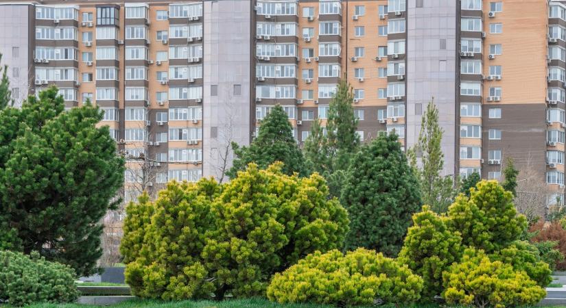 A lakáspiaci élénkülés már az eladási időkön is látszik, a panellakásoké a leggyorsabb