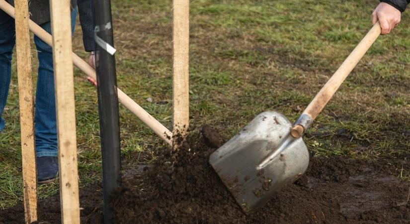 Indulhat a kertvárosi zöldinfrastruktúra-fejlesztés Berettyóújfaluban