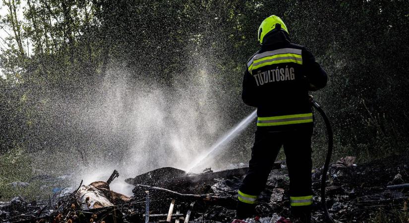 Az ország számos pontján pusztítanak a lángok! A tűzoltók küzdenek a pokoli kánikulával