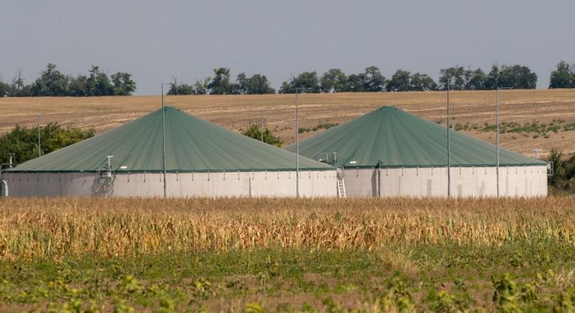 A szákszendi sertéstelepen történt tragédiától a Dunába esett férfiig